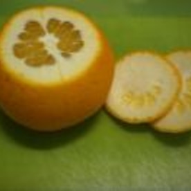 酸っぱい柑橘類を美味しく消費 みかんの蜂蜜漬け レシピ 作り方 By はちわれ413 楽天レシピ 酸っぱい柑橘類を美味しく消費 みかんの蜂蜜漬け レシピ 作り方 By はちわれ413 楽天レシピ